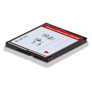 MCF256 CompactFlash card (256 MB)
